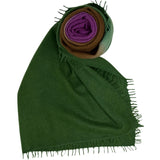 Bajra Luxo Sparge Cashmere Gradual Vertical Shading Stole