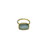 Irene Neuwirth Gemmy Gem One of a Kind 18k Yellow Gold Ring set with Fine Aquamarine