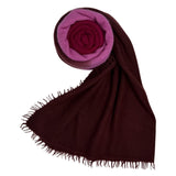 Bajra Luxo Sparge cashmere Gradual Vertical Shading Stole