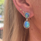The Woods opal drop earrings (trunk show)