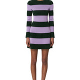 Carolina Herrera Long Sleeve Crewneck Knit Mini Dress