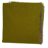 Bajra Luxo Sparge Cashmere Gradual Vertical Shading Stole - Vermillion