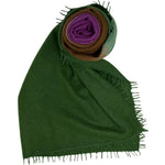Bajra Luxo Sparge Cashmere Gradual Vertical Shading Stole - Vermillion