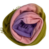 Bajra Luxo Sparge Cashmere Gradual Vertical Shading Stole - Vermillion