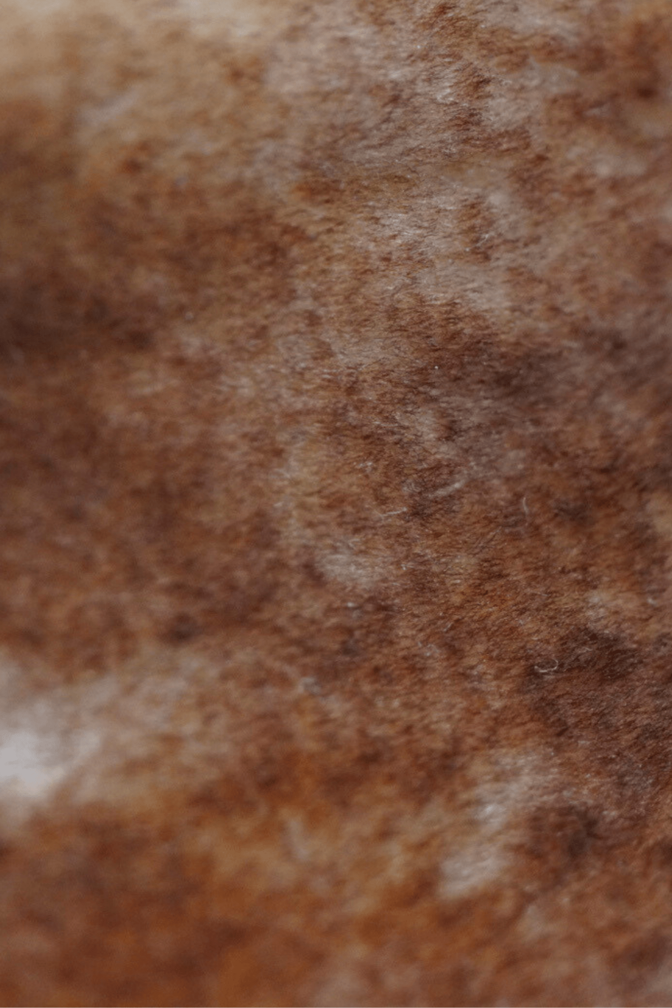 Green Rain Napoli Nina Collar - Vermillion