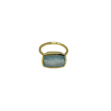 Irene Neuwirth Gemmy Gem One of a Kind 18k Yellow Gold Ring set with Fine Aquamarine - Vermillion