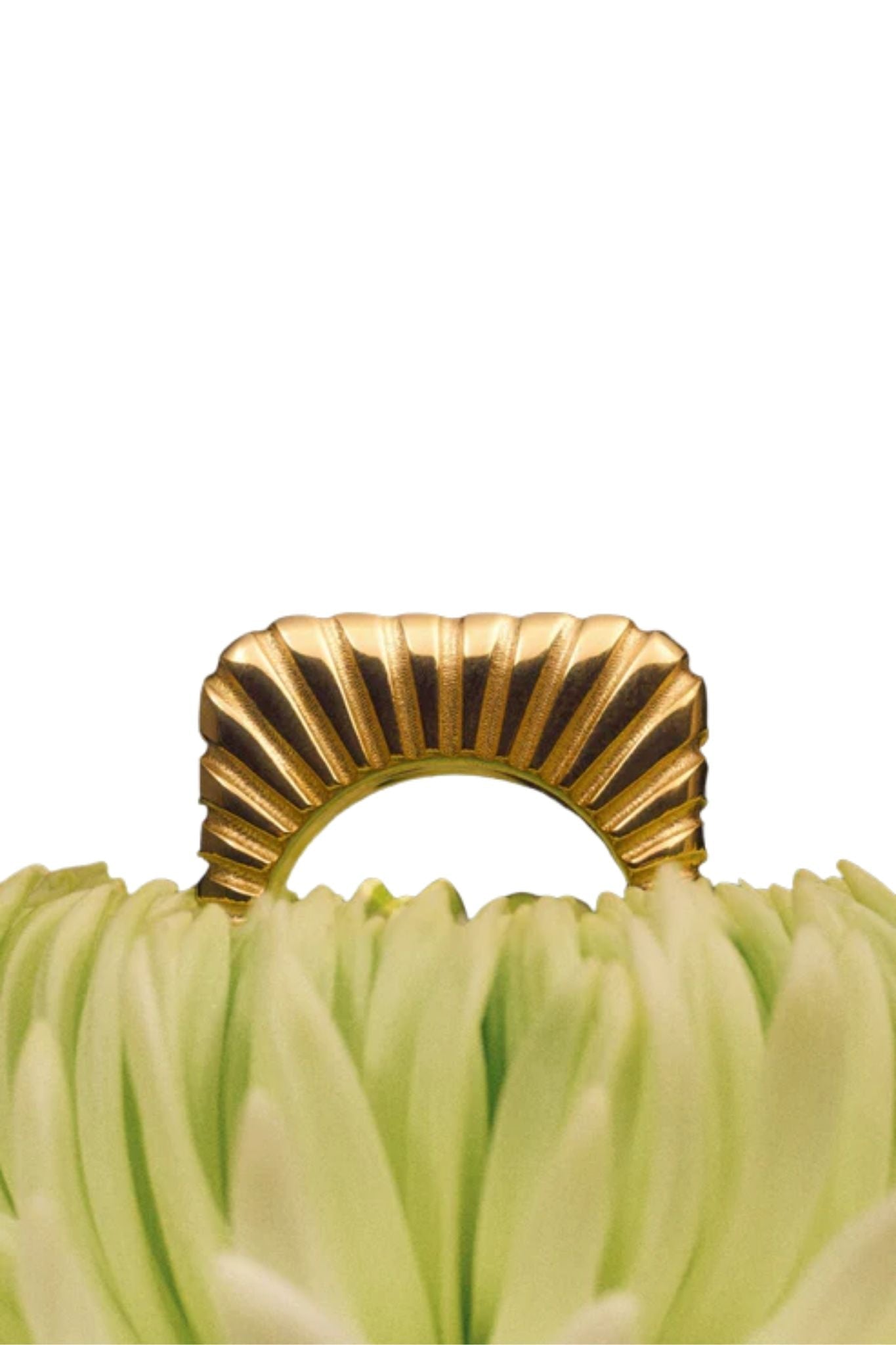 IVI Los Angeles Gaia Signet Ring - Vermillion