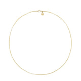 Marlo Laz 14K Yellow Gold 1.8 Rolo Chain 18" - Vermillion