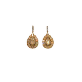 V552 The Woods Opal Tear Drop Earrings